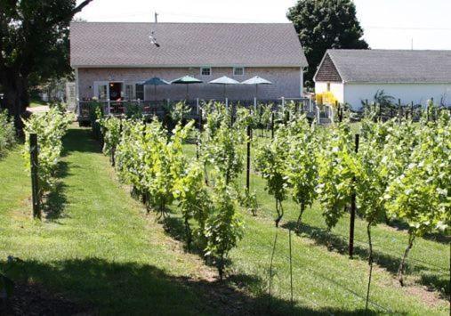 The Langworthy Inn & Winery 웨스털리 외부 사진
